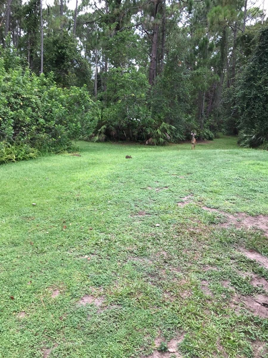 NARCOOSSEE NEW MAP - Land