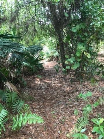 NARCOOSSEE NEW MAP - Land