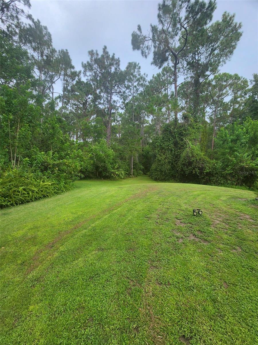 NARCOOSSEE NEW MAP - Land