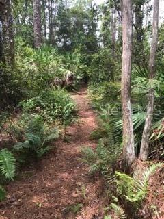 NARCOOSSEE NEW MAP - Land