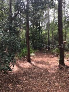 NARCOOSSEE NEW MAP - Land