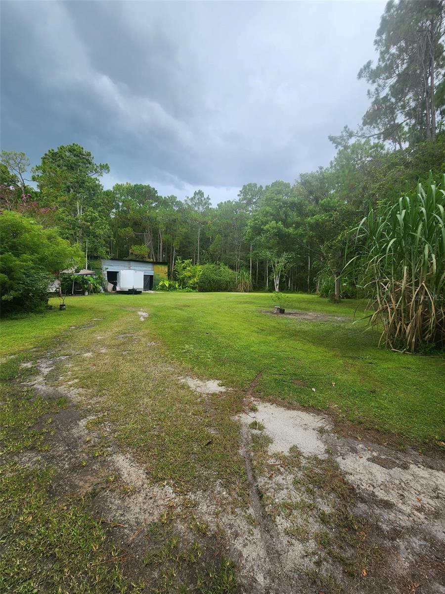 NARCOOSSEE NEW MAP - Land