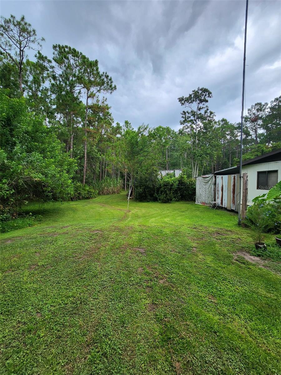 NARCOOSSEE NEW MAP - Land