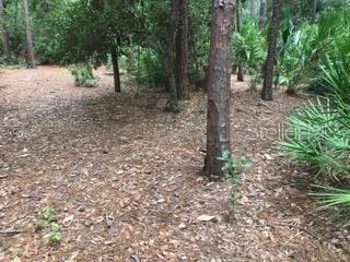 NARCOOSSEE NEW MAP - Land