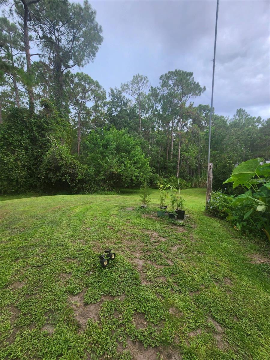 NARCOOSSEE NEW MAP - Land