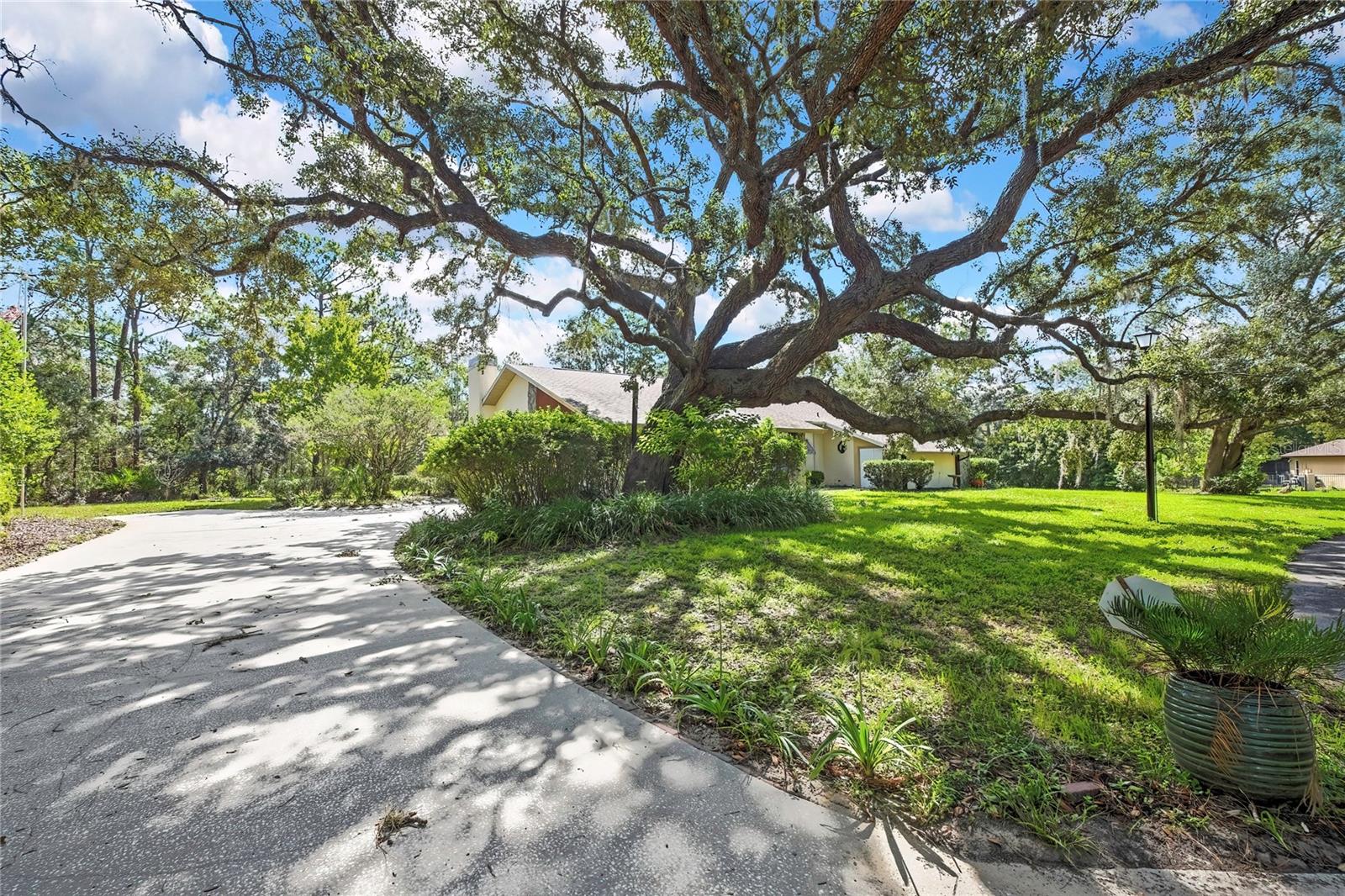 12 MAYFLOWER COURT E