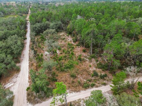 Tiny photo for SW 158th Lane, Dunnellon, FL 34432 (MLS # S5140173)