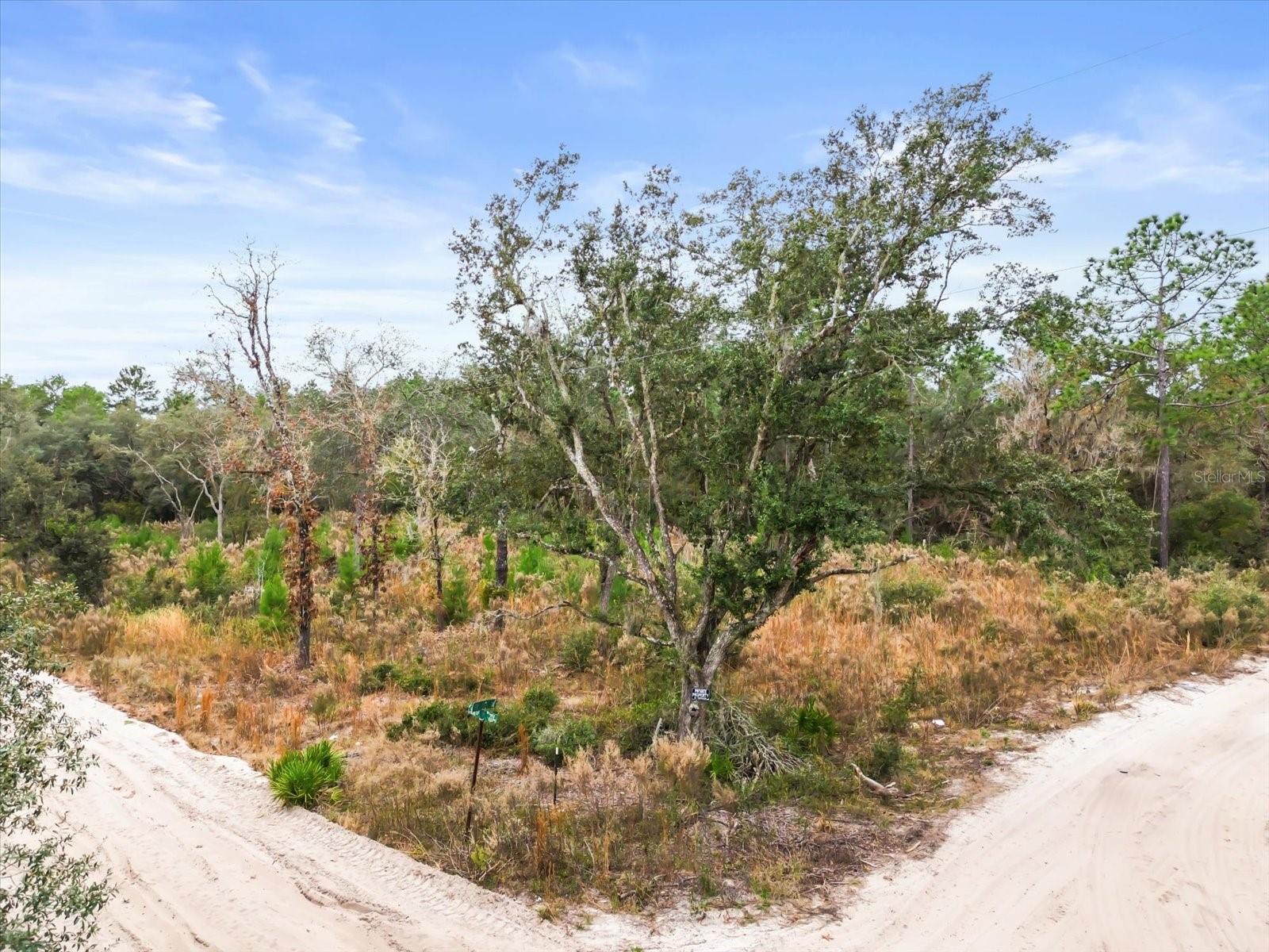 FLORIDA HIGHLANDS #480 - Land