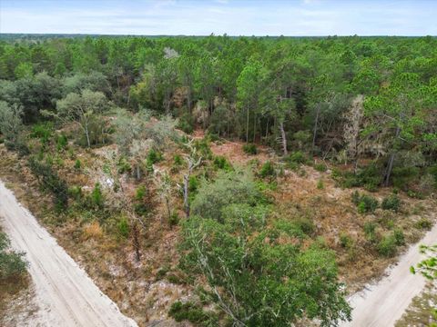 Tiny photo for SW 158th Lane, Dunnellon, FL 34432 (MLS # S5140173)