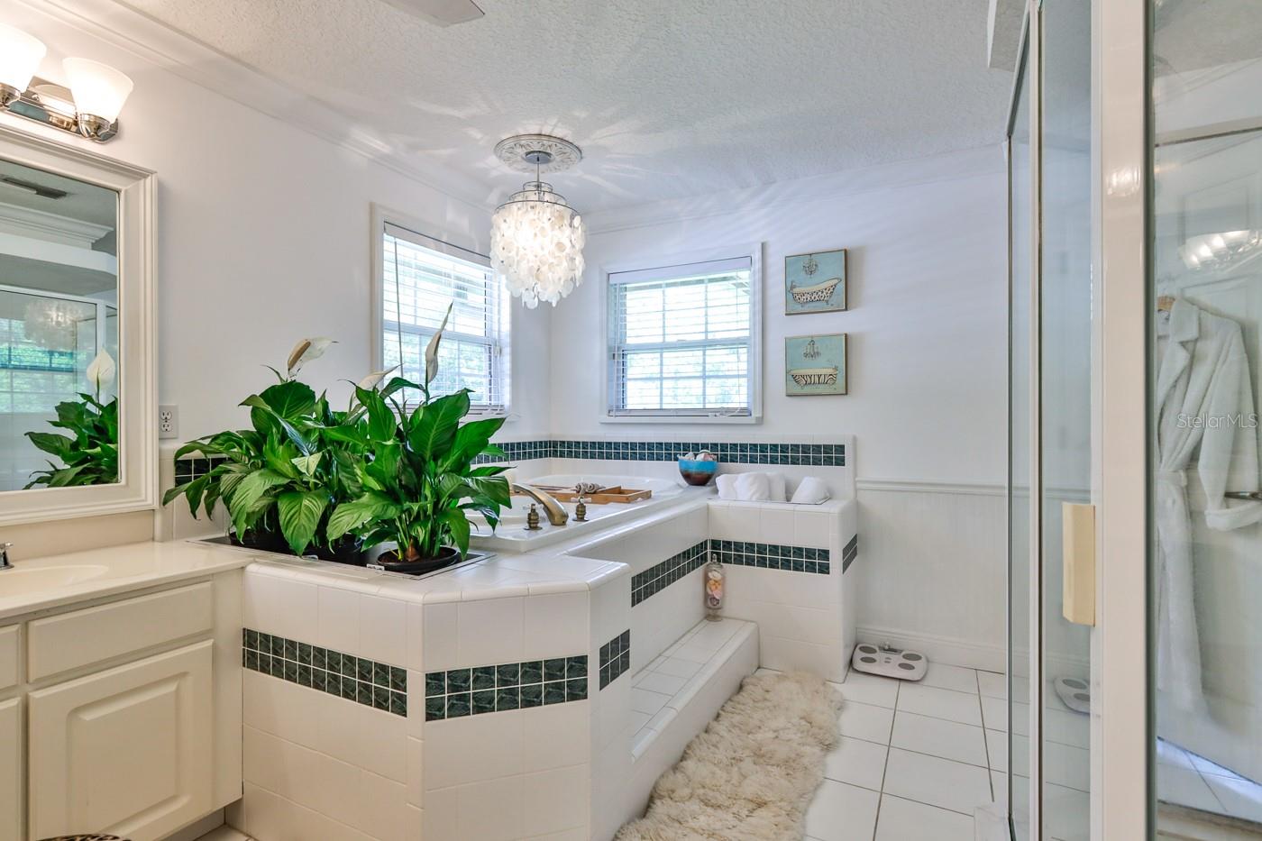 Tomoka Pines - Residential