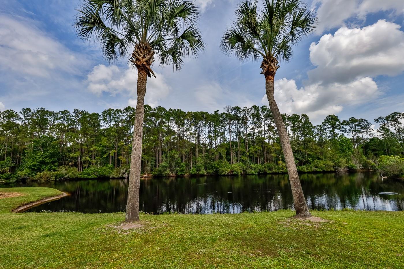 Tomoka Pines - Residential