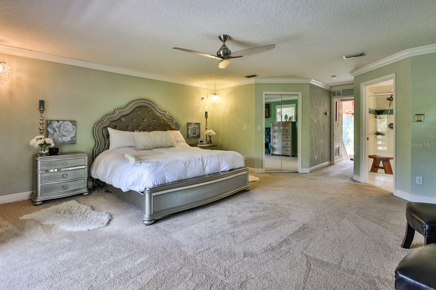 Tomoka Pines - Residential