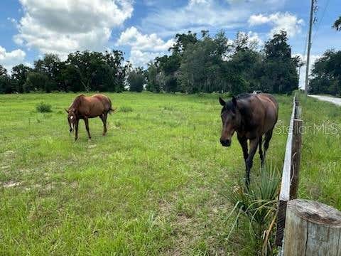 Tiny photo for 14854 NE Jacksonville Road, Citra, FL 32113 (MLS # OM726872)