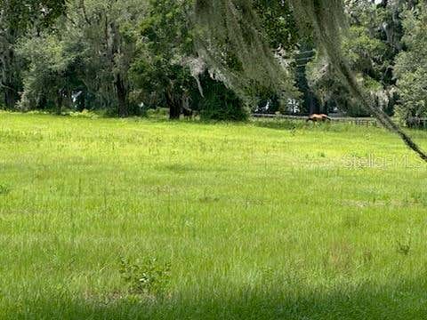 Tiny photo for 14854 NE Jacksonville Road, Citra, FL 32113 (MLS # OM726872)