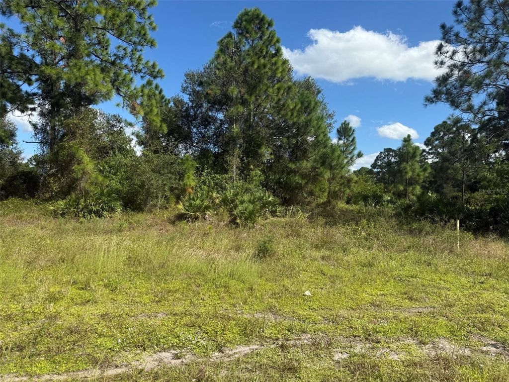 Photo of 627 Columbus Boulevard S, Lehigh Acres, FL 33974 (MLS # OK225646)