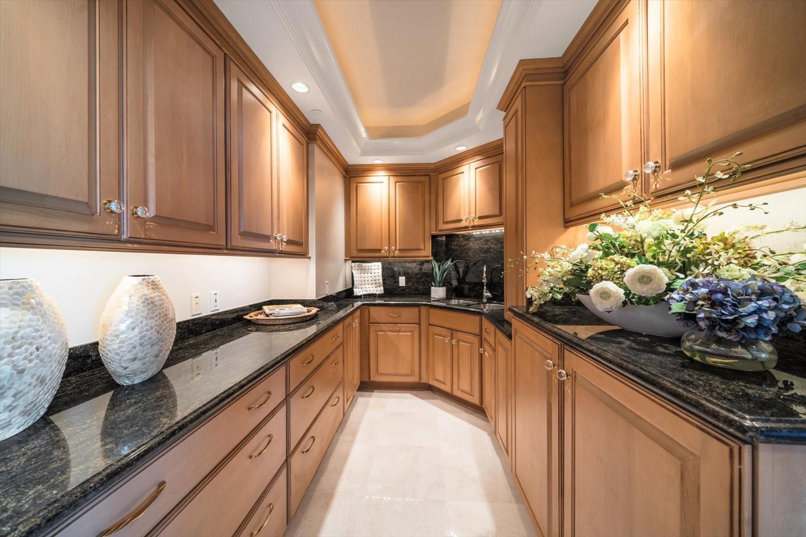 SEASIDE AT BELLEAIR III - Residential