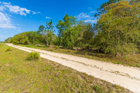 NE 65 STREET WILLISTON FL 32696