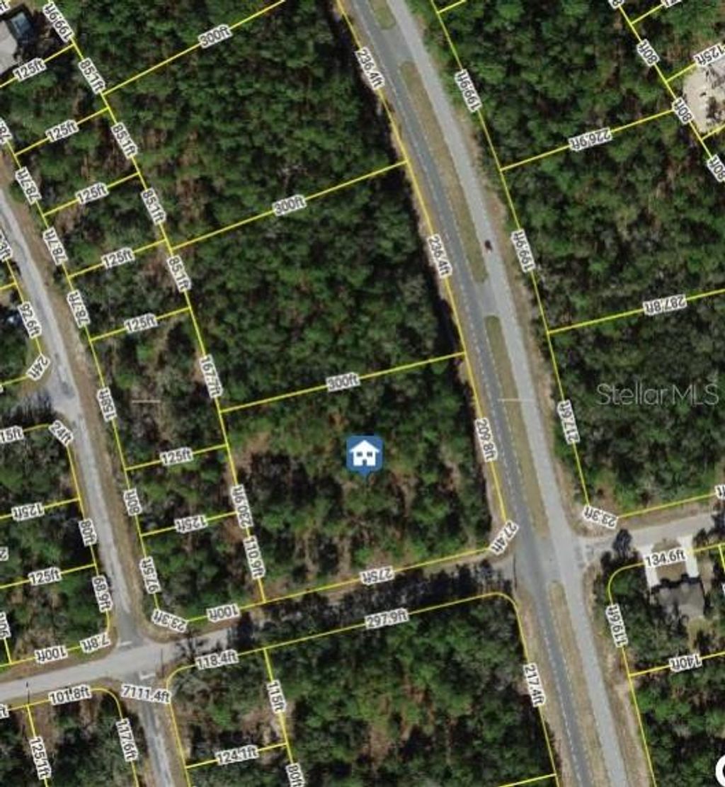 Photo of 1287 W Evergreen Drive, Citrus Springs, FL 34434 (MLS # W7876528)