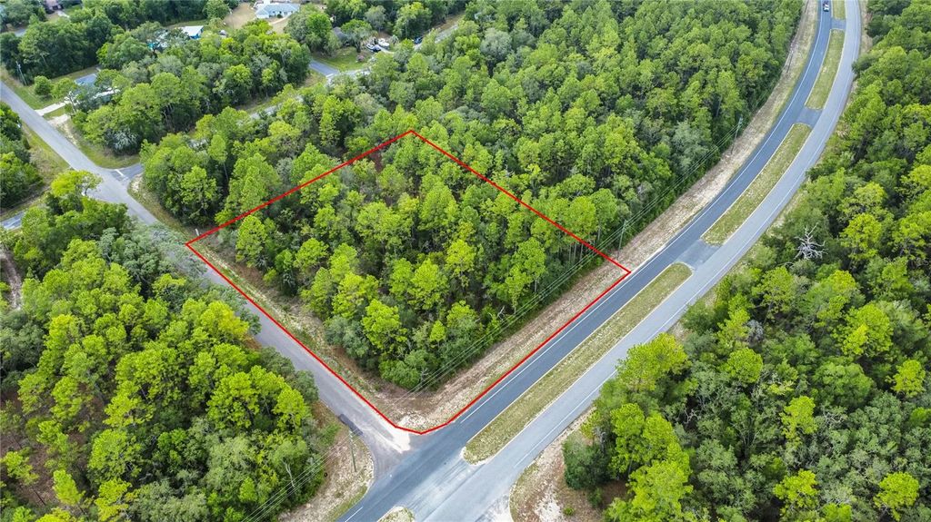 Photo of 1287 W Evergreen Drive, Citrus Springs, FL 34434 (MLS # W7876528)