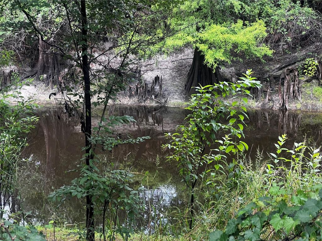 Photo of 0 Olivet Drive, Ridge Manor, FL 33523 (MLS # TB8402354)