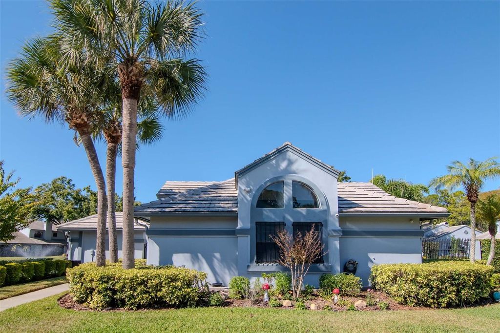 Photo of 4127 Brentwood Park Circle, Tampa, FL 33624 (MLS # TB8443522)