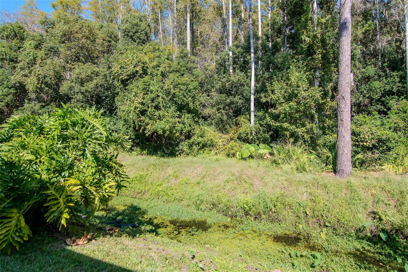 BRENTWOOD PARK - Residential