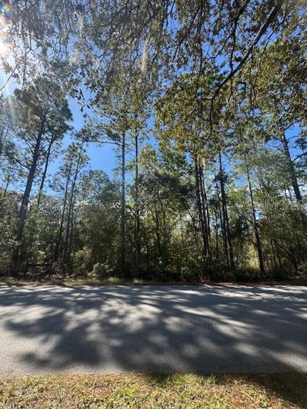 Photo of SW 178th Ter Terrace SW, Dunnellon, FL 34432 (MLS # OM711317)