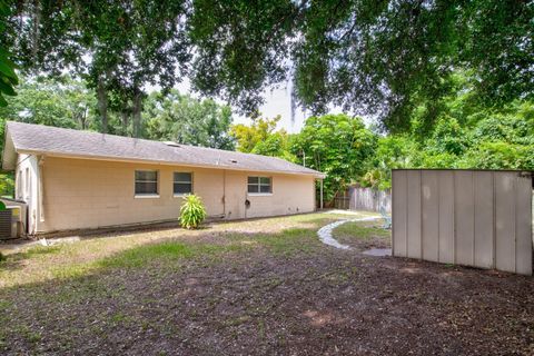 A home in MOUNT DORA