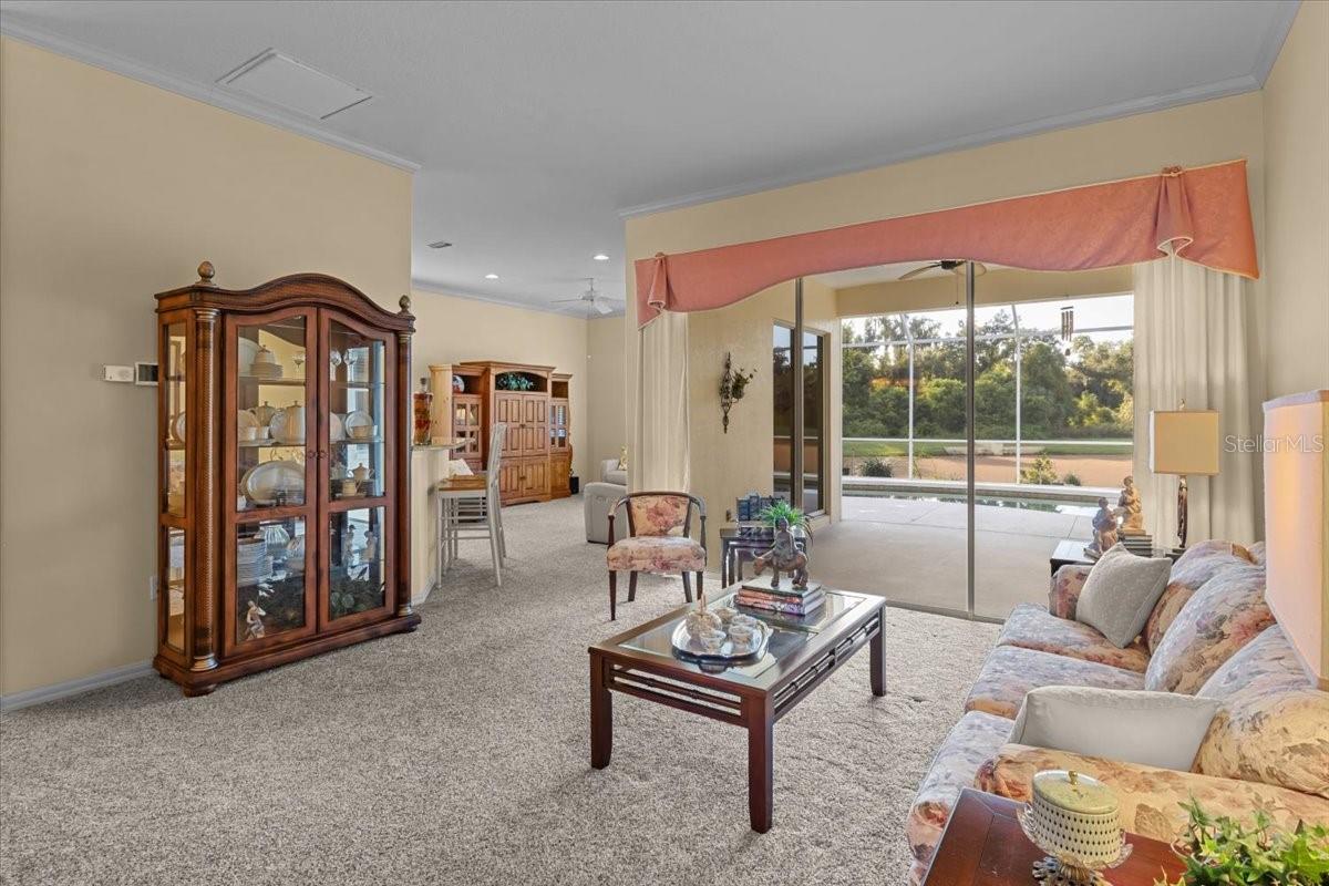 3211 WOODLAND FERN DRIVE