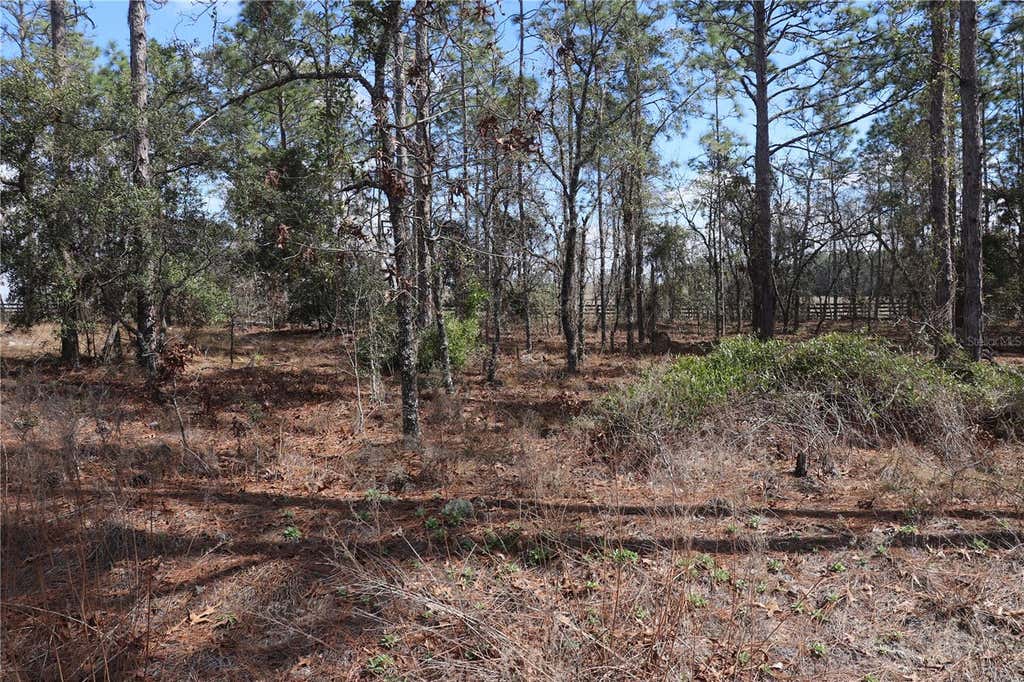 Photo of 2251 NW Buena Vista Road, Dunnellon, FL 34431 (MLS # OM694703)