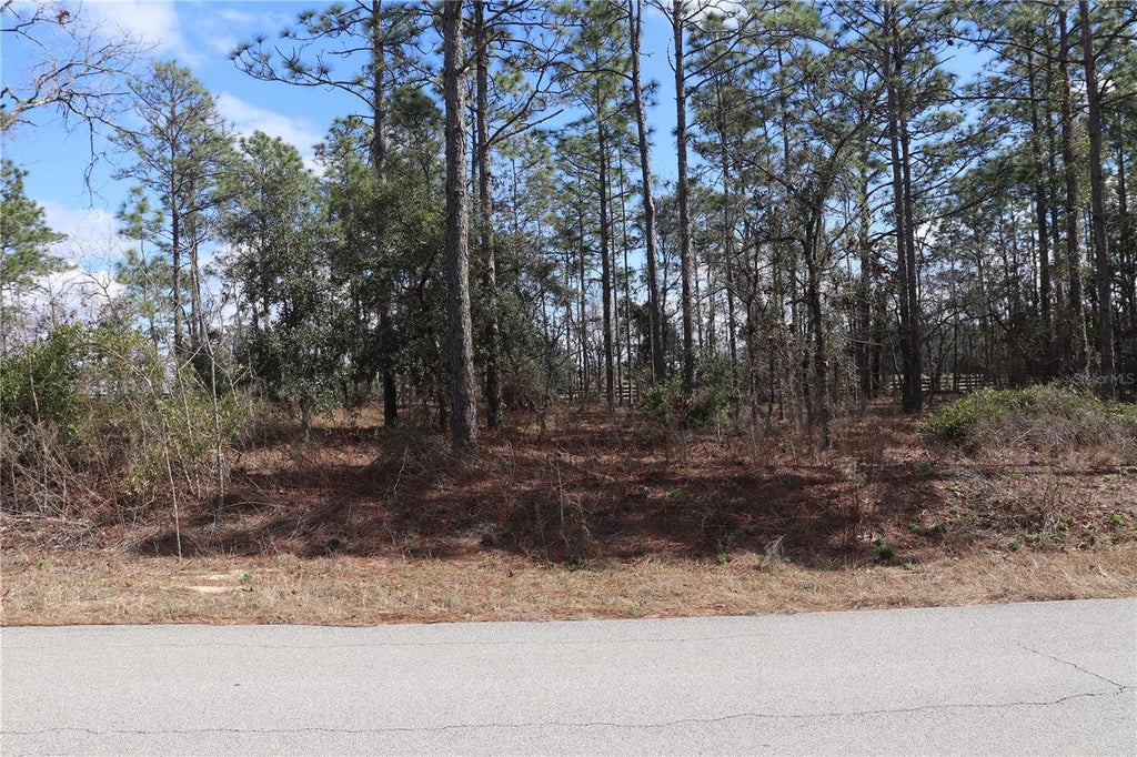 Photo of 2251 NW Buena Vista Road, Dunnellon, FL 34431 (MLS # OM694703)