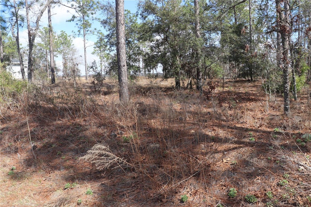 Photo of 2251 NW Buena Vista Road, Dunnellon, FL 34431 (MLS # OM694703)