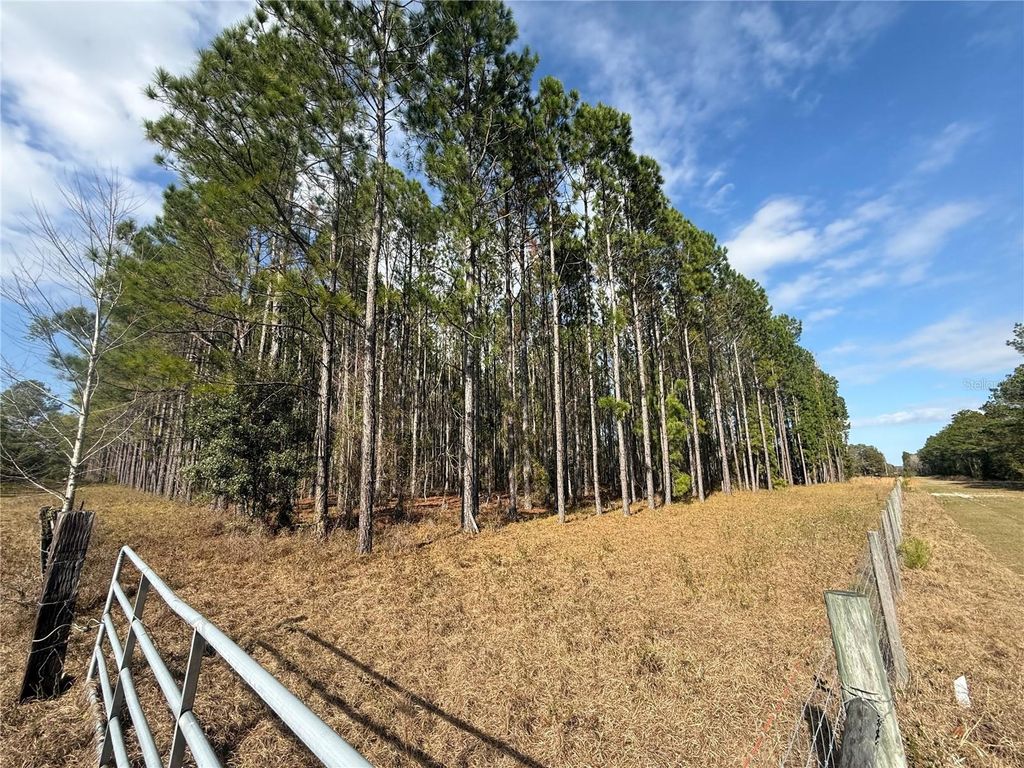 Photo of 00 SW Sr 121, Lake Butler, FL 32054 (MLS # GC536741)