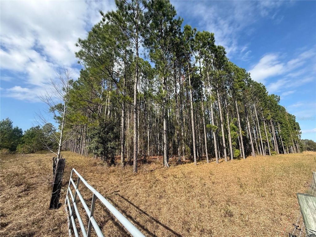 Photo of 00 SW Sr 121, Lake Butler, FL 32054 (MLS # GC536741)