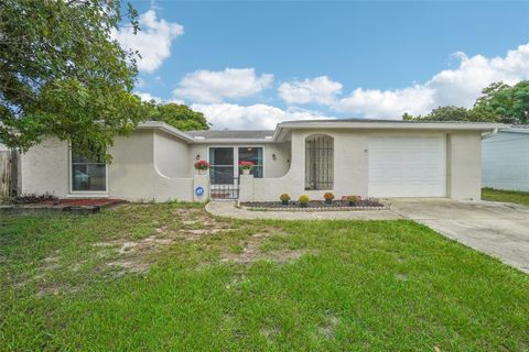 A home in PORT RICHEY