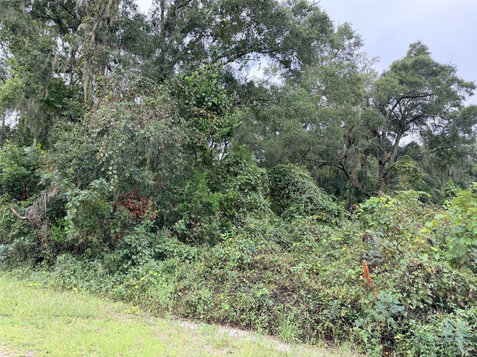 0 NW 66TH TERRACE