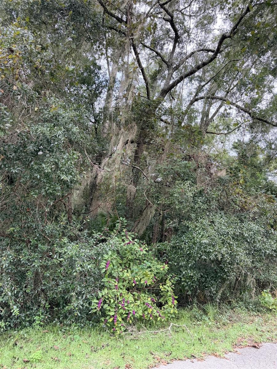 0 NW 66TH TERRACE