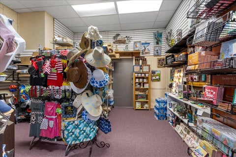 Tiny photo for 317 N Donnelly St, Mount Dora, FL 32757 (MLS # O6414493)