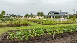 ANGELINE PHASES 1A 1B 1C & 1D PB 87 PG 072 LOT 193 - Residential