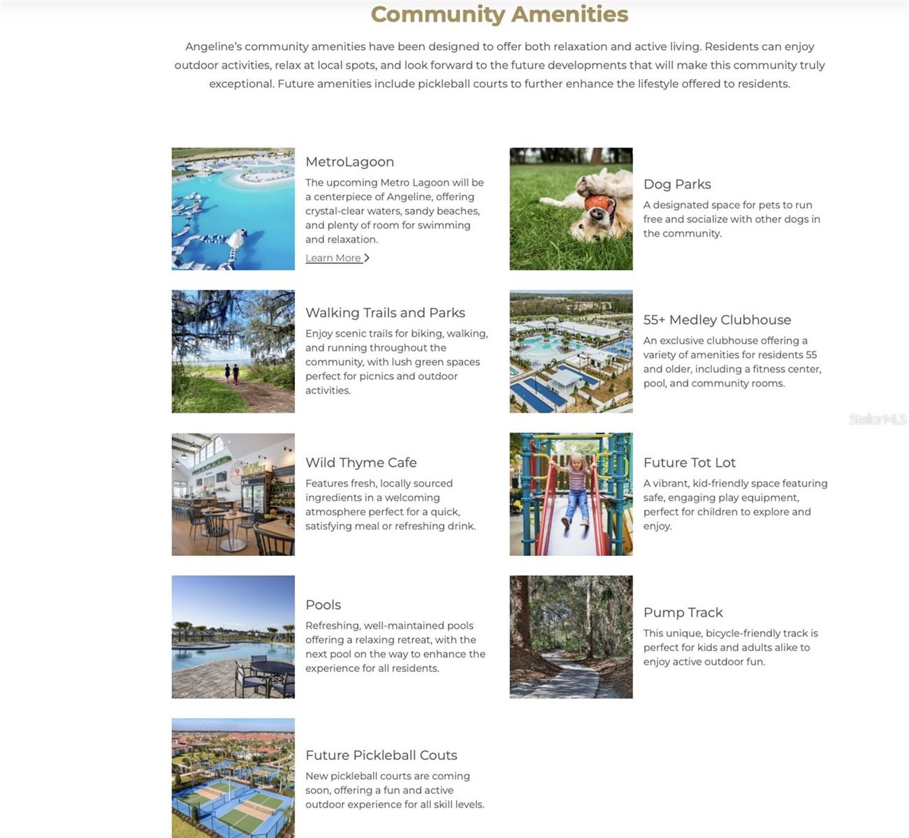 ANGELINE PHASES 1A 1B 1C & 1D PB 87 PG 072 LOT 193 - Residential