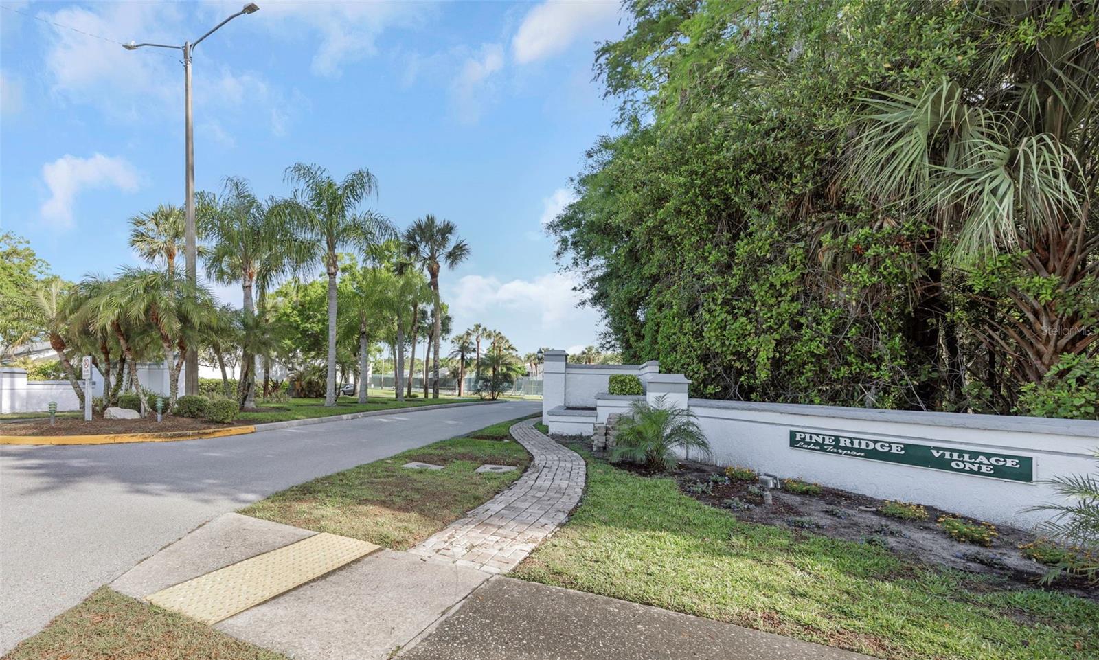 PINE RIDGE AT LAKE TARPON VILLAGE - Residential