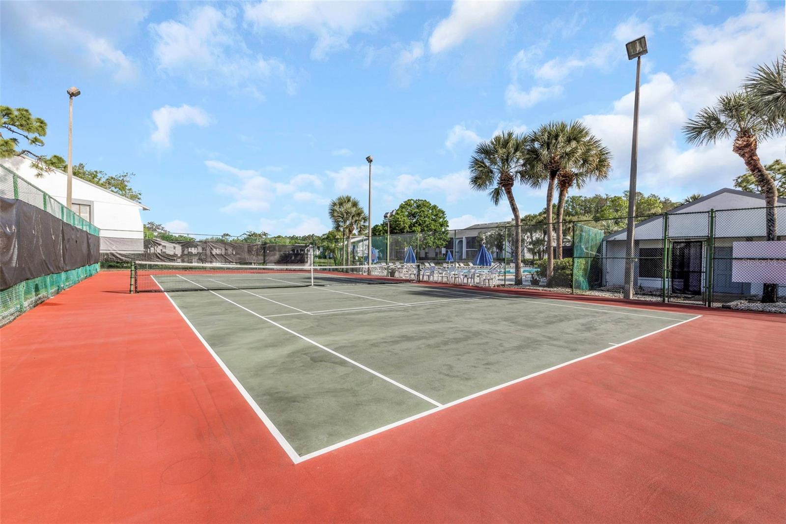 PINE RIDGE AT LAKE TARPON VILLAGE - Residential