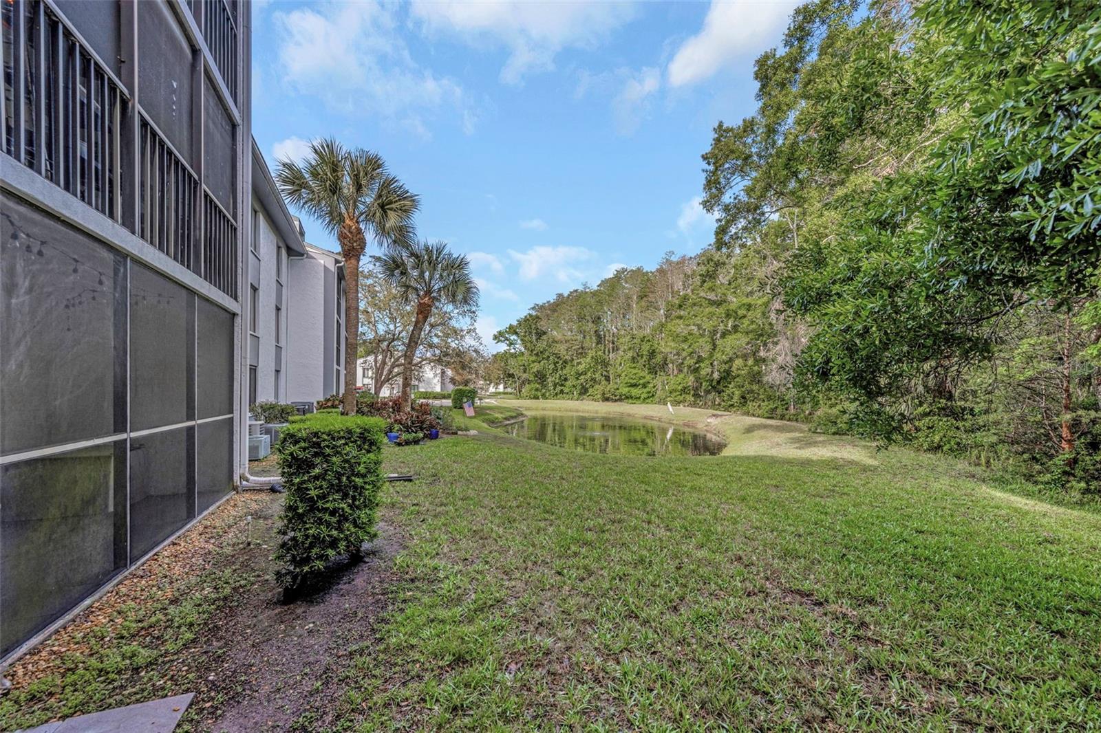 PINE RIDGE AT LAKE TARPON VILLAGE - Residential