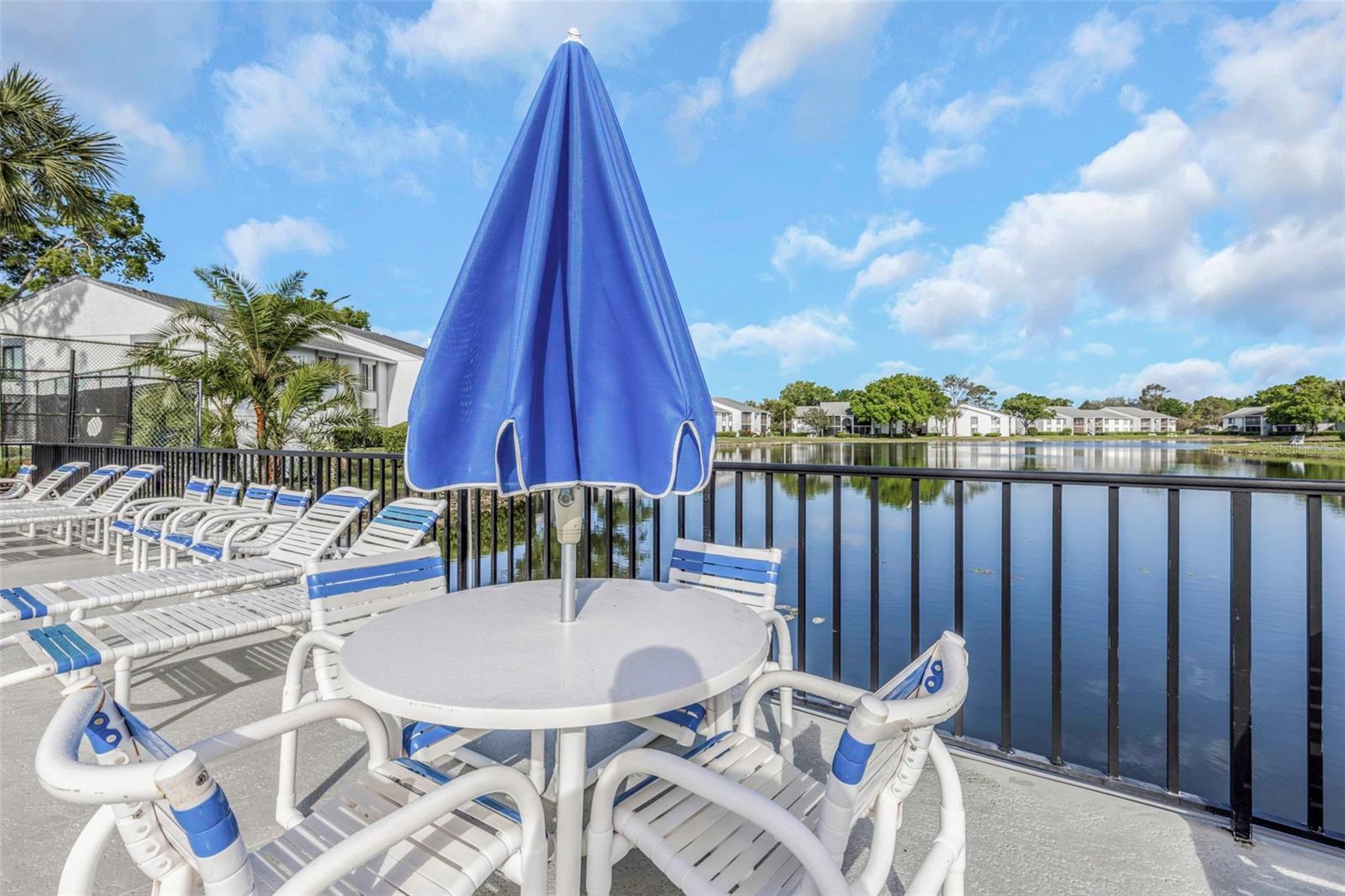 PINE RIDGE AT LAKE TARPON VILLAGE - Residential