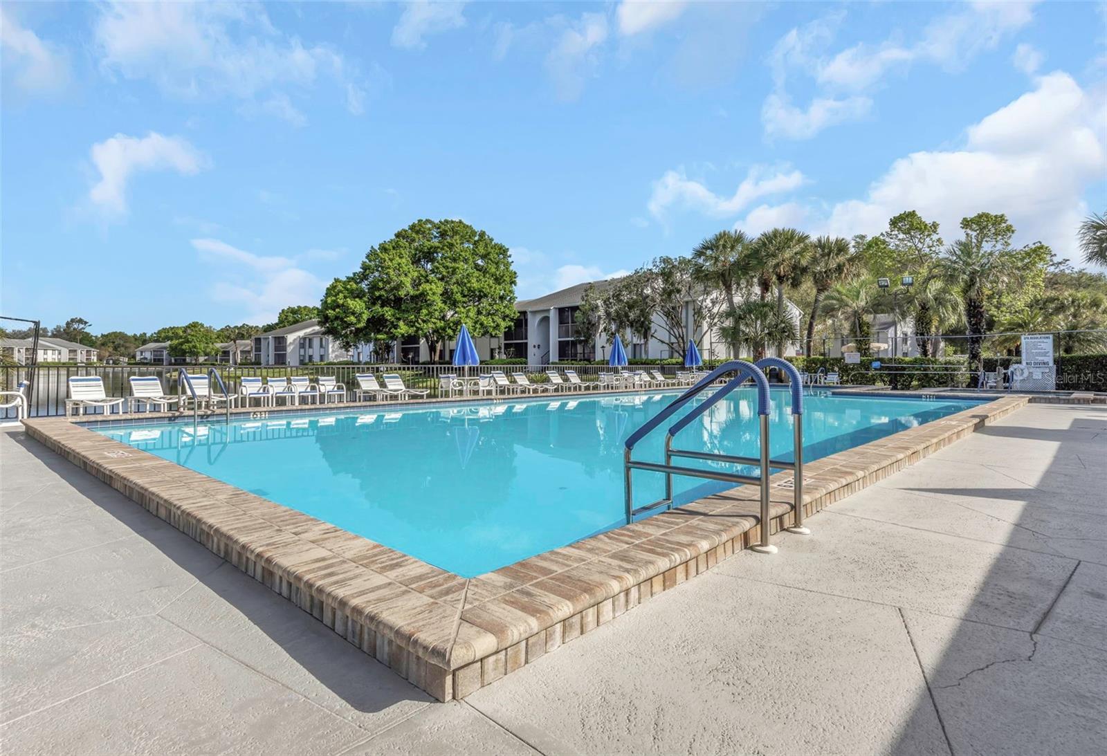 PINE RIDGE AT LAKE TARPON VILLAGE - Residential