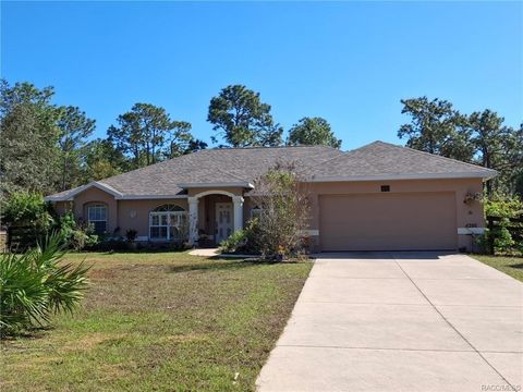 Tiny photo for 4295 N Bridger Drive, Beverly Hills, FL 34465 (MLS # TB8465431)