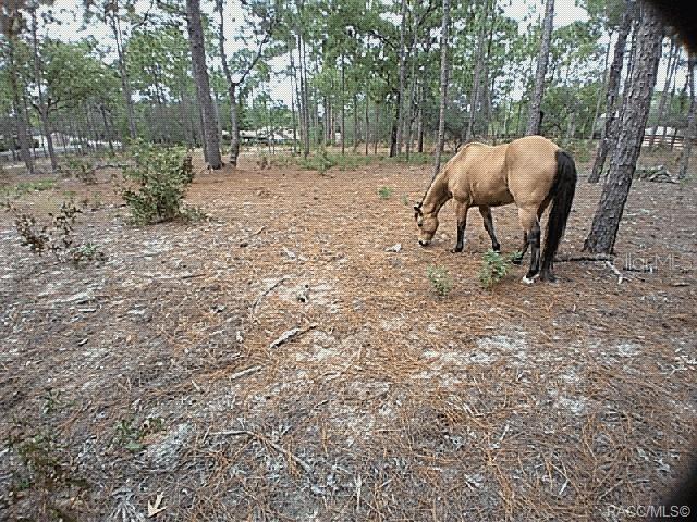 PINE RIDGE UNIT 01 - Residential