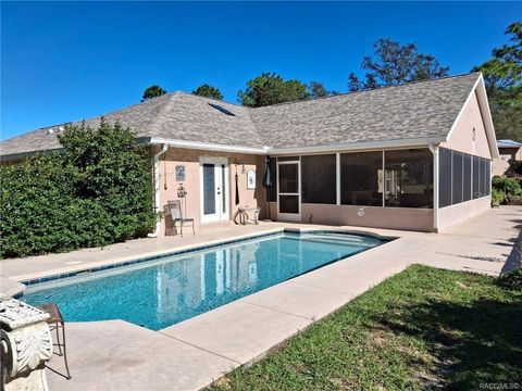 Tiny photo for 4295 N Bridger Drive, Beverly Hills, FL 34465 (MLS # TB8465431)