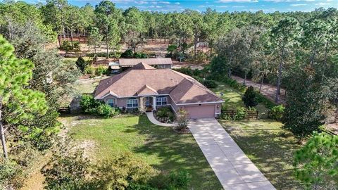 Tiny photo for 4295 N Bridger Drive, Beverly Hills, FL 34465 (MLS # TB8465431)