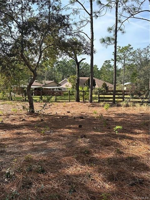 Tiny photo for 4295 N Bridger Drive, Beverly Hills, FL 34465 (MLS # TB8465431)